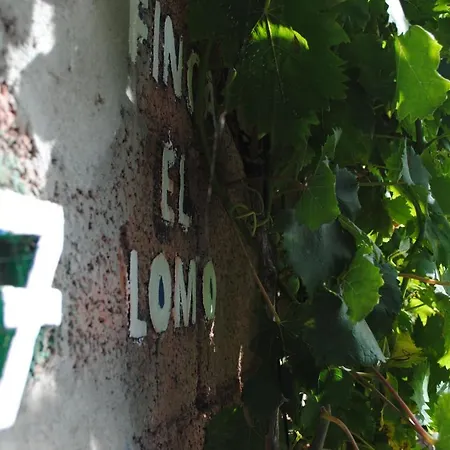 度假居 El Lomo 大加那利岛拉斯帕尔马斯