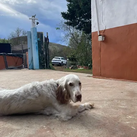 El Lomo