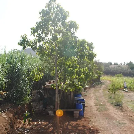 El Lomo בית נופש