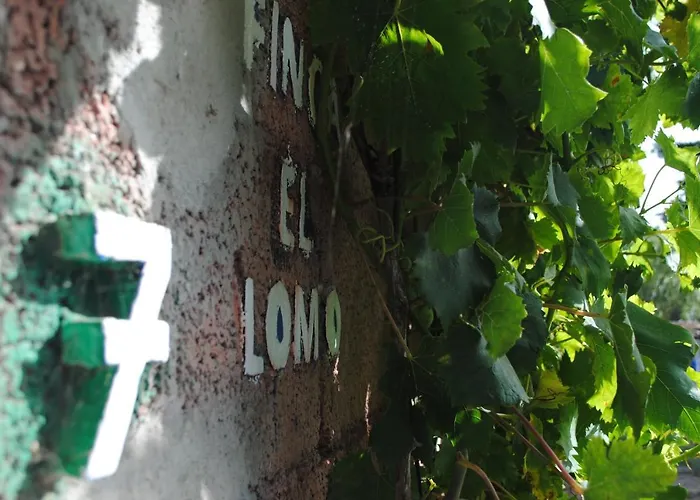 度假居 El Lomo 大加那利岛拉斯帕尔马斯