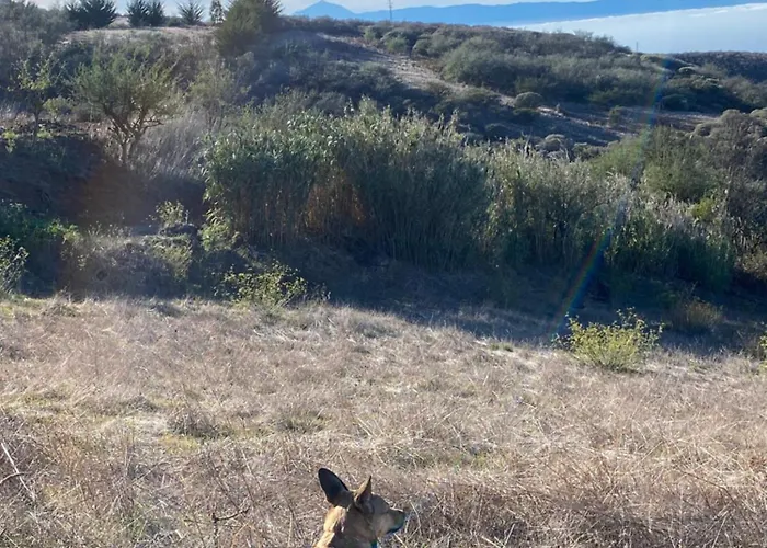 El Lomo * 大加那利岛拉斯帕尔马斯