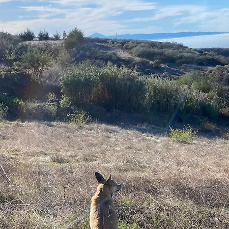 El Lomo * Las Palmas de Gran Canaria