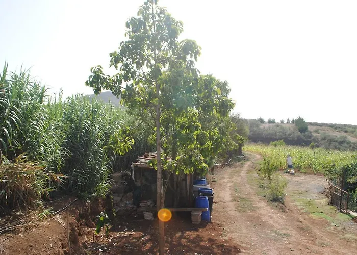 El Lomo Hébergement de vacances